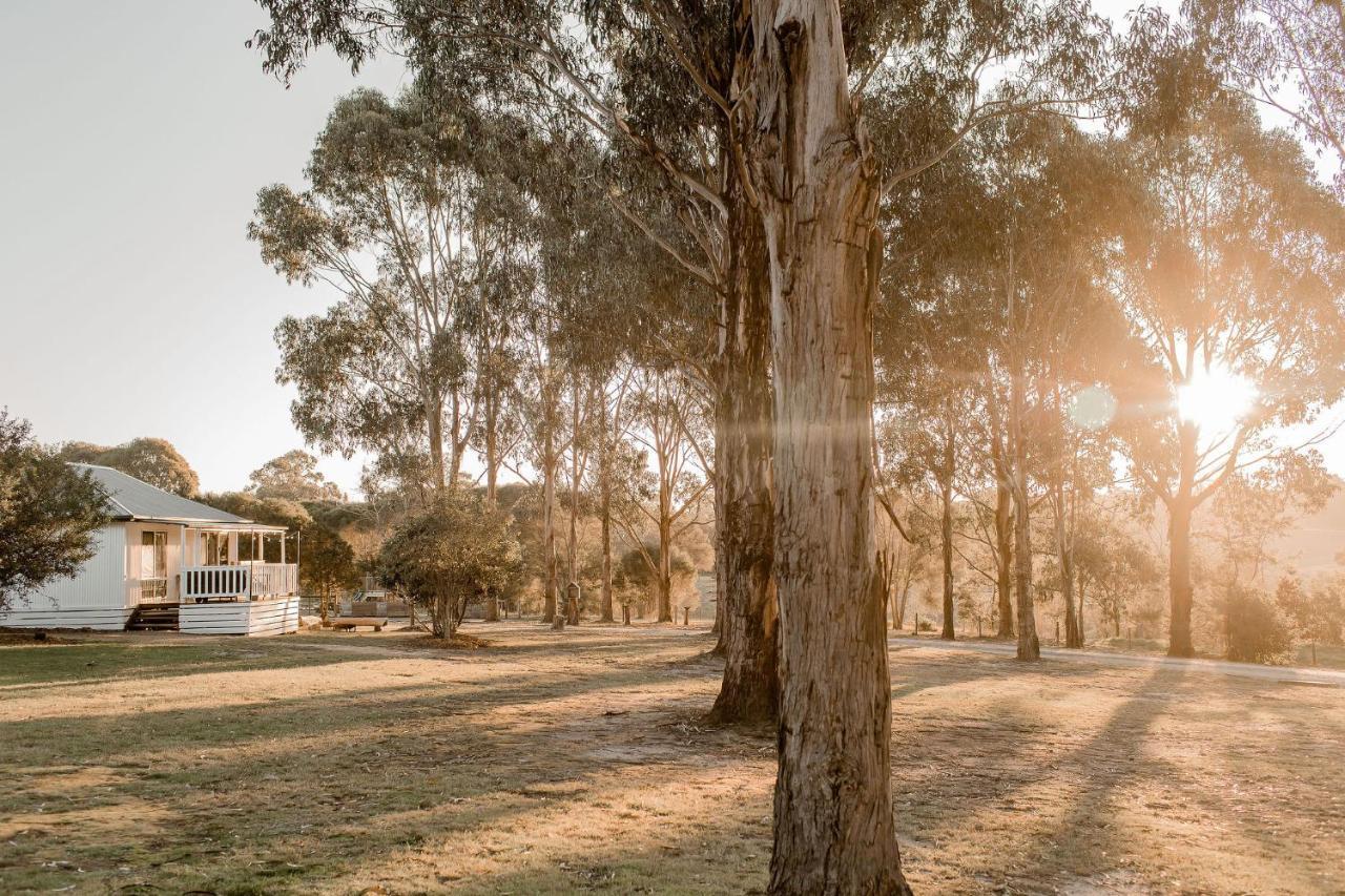 Eight Acres Lakes Entrance Dış mekan fotoğraf